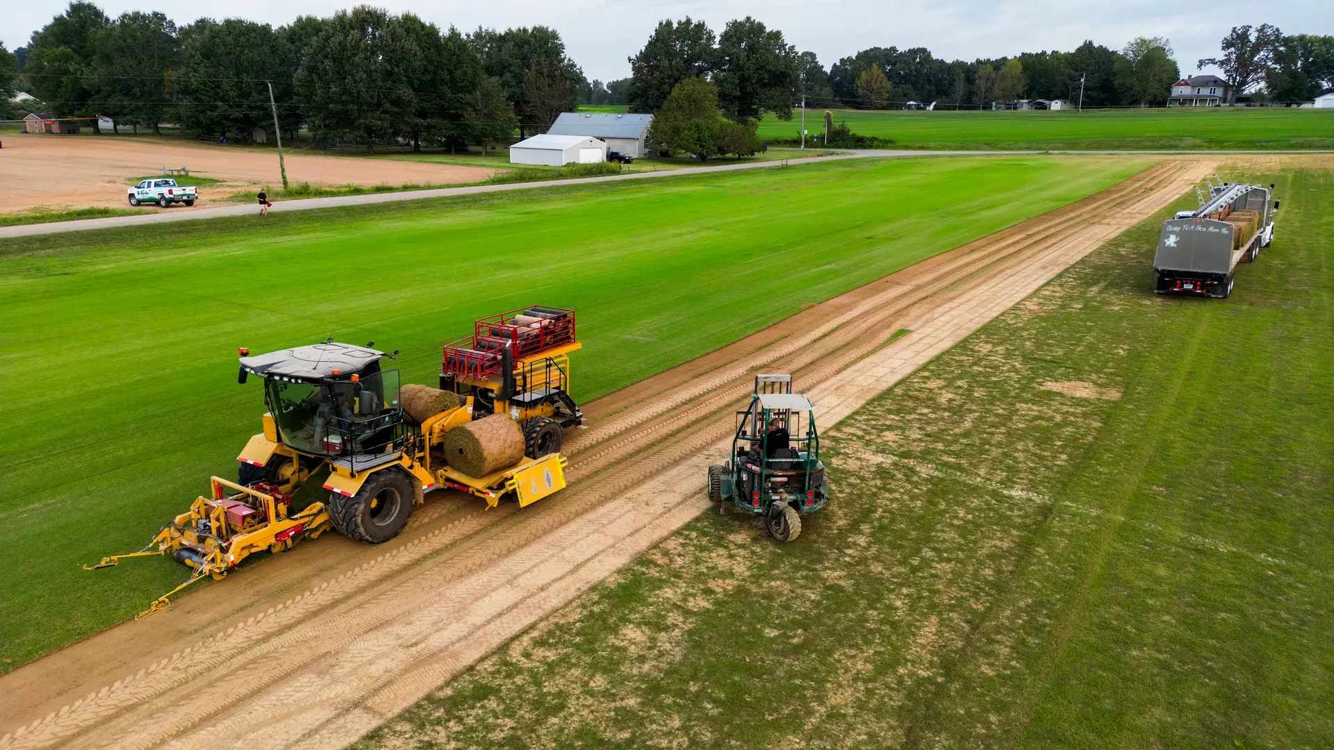 Tifway 419 Bermuda Sod | The Proven Industry Standard | Tri-Turf