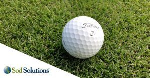 sod_solutions_logo_golfball