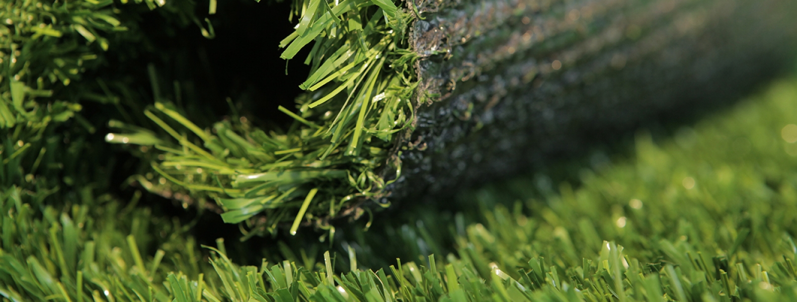 Artificial Turf Vs. Natural Grass – Tri-Turf Sod Farms, Inc.